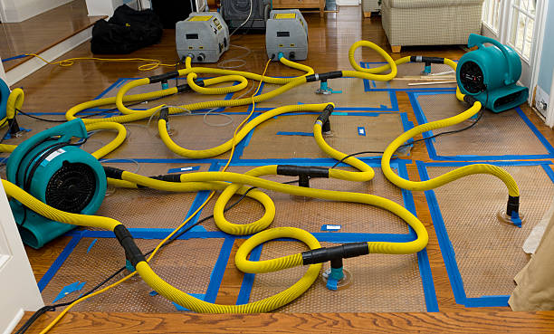 Professional Basement Flood Cleanup technician working in Arvin, CA